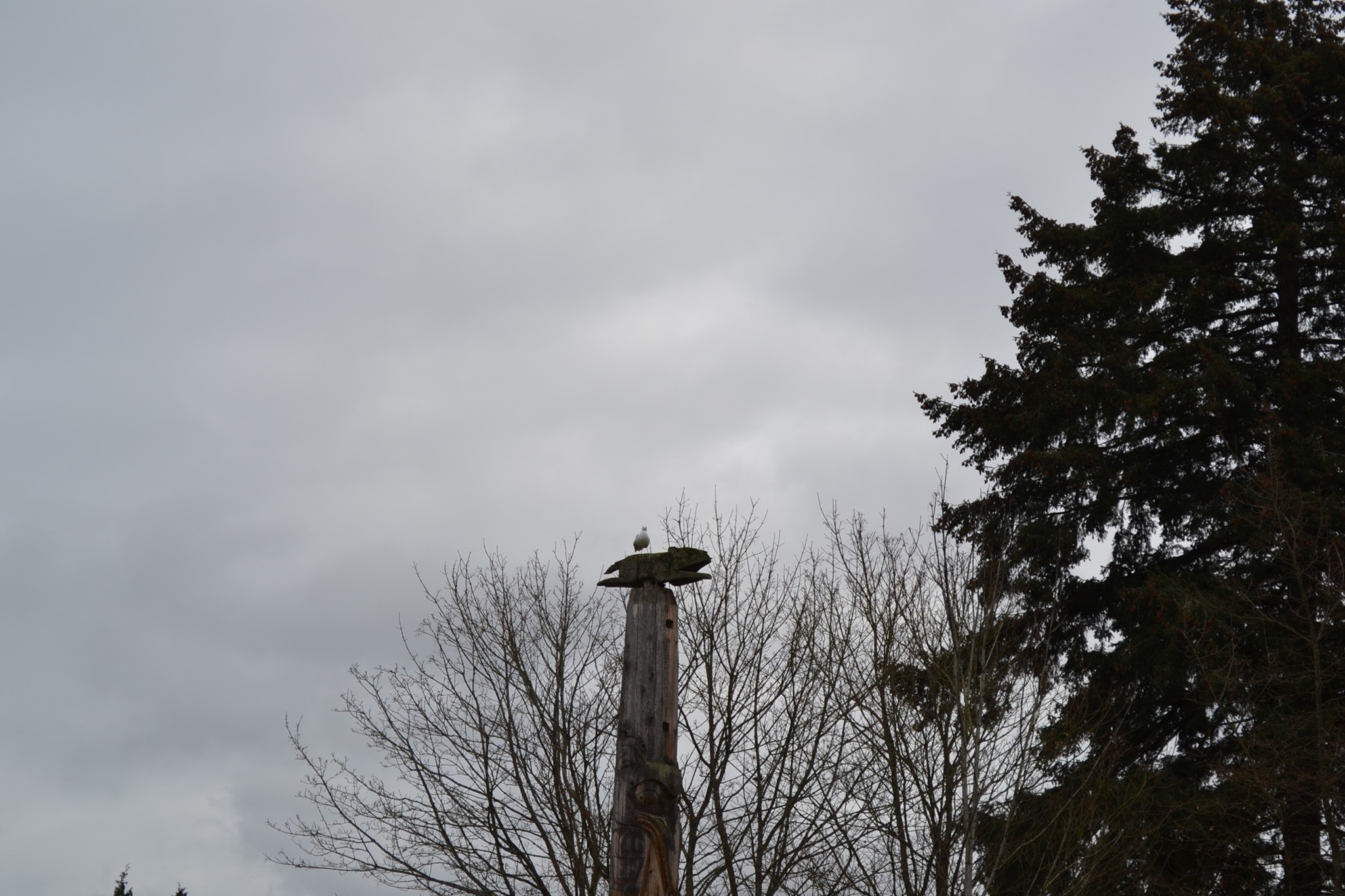 DSC_0025