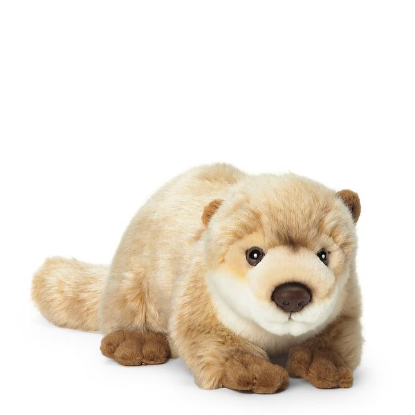 Loutre_de_rivière